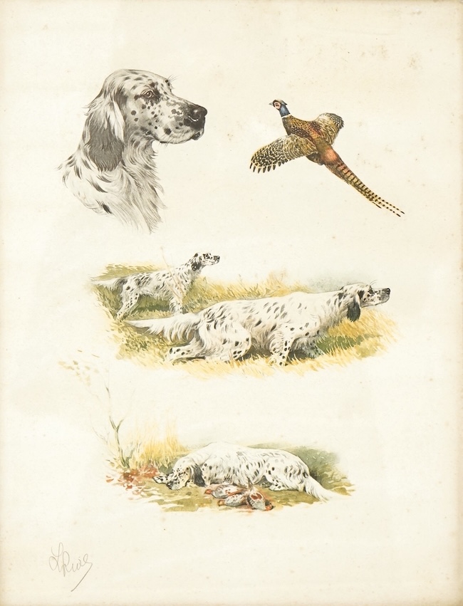 Boris Riab (Russian, 1898-1975), Studies of English Setters and game, signed in pencil, copyright by C. H. Druher, Paris, colour lithograph, 34 x 26cm